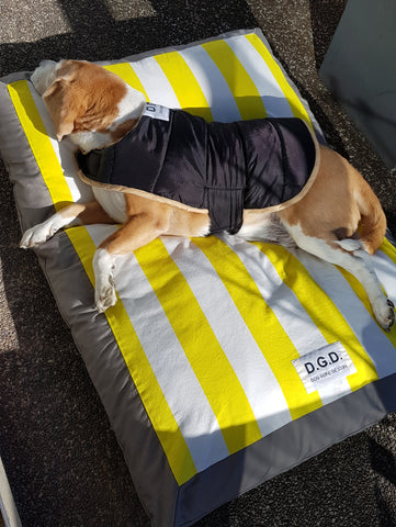 Large Balmoral Stripe Dog Cushion