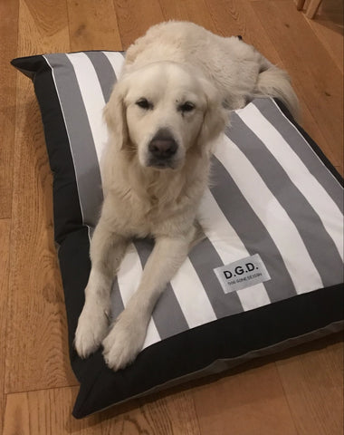 Large Maine Stripe Dog Cushion
