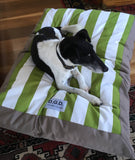 Large Cactus Stripe Dog Cushion